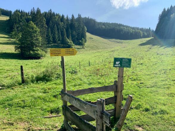 natur.BANK.wege | Weyer | Bärenkogel | 333512
