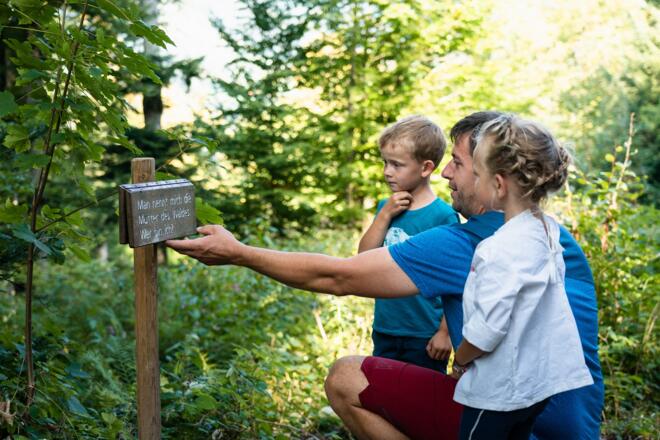 Wissensstation am Erlebniswanderweg