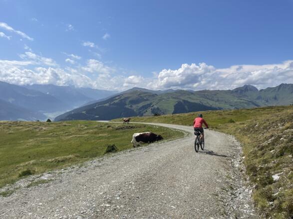 Blick vom Schellenberg Richtung Wildkogel