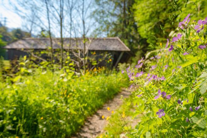 Talweg von St. Gallenkirch nach Partenen