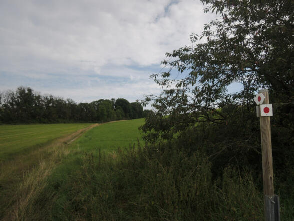 Wegweiser zur Alexandrinenhütte