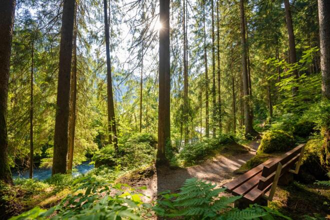 Talweg von St. Gallenkirch nach Partenen