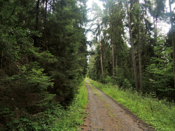 Auf dem Rundweg gehen wir zurück in Richtung Sonnefeld.