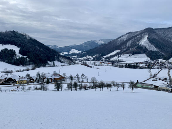 natur.BANK.wege | Gaflenz | Bärenreithweg | 333403