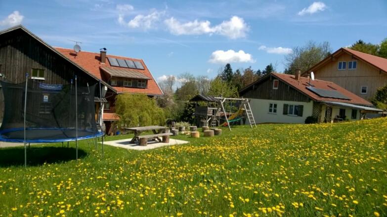 Bei uns, wenn der Löwenzahn blüht