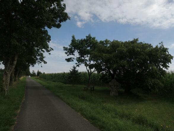 Die letzten Meter zur Alexandrinenhütte