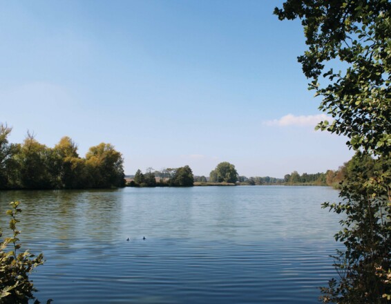 Weiher