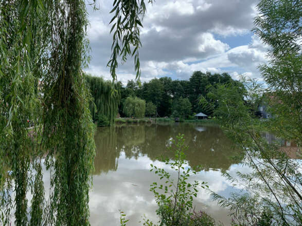 Schlossteich in Untersiemau