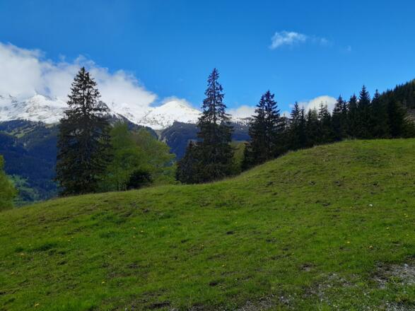 In de buurt van de Bergmühlen in Bad Hofgastein
