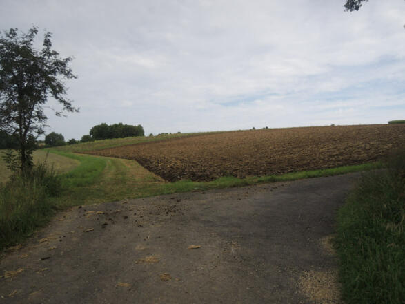 Geradeaus geht es zur Alexandrinenhütte.