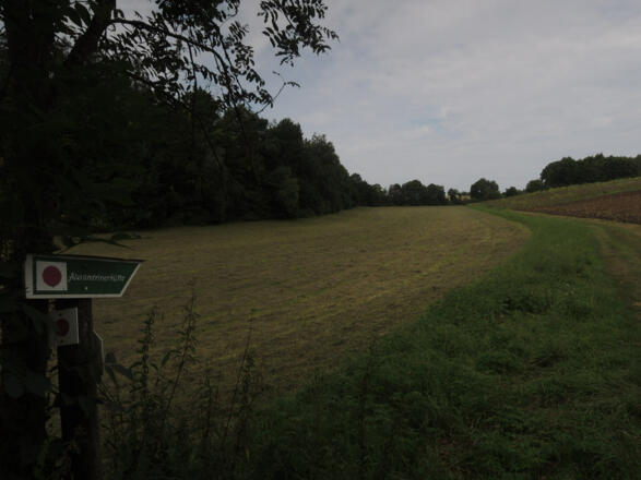 Wegweiser zur Alexandrinenhütte