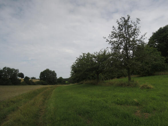Der Weg führt uns von Meeder nach Mirsdorf.
