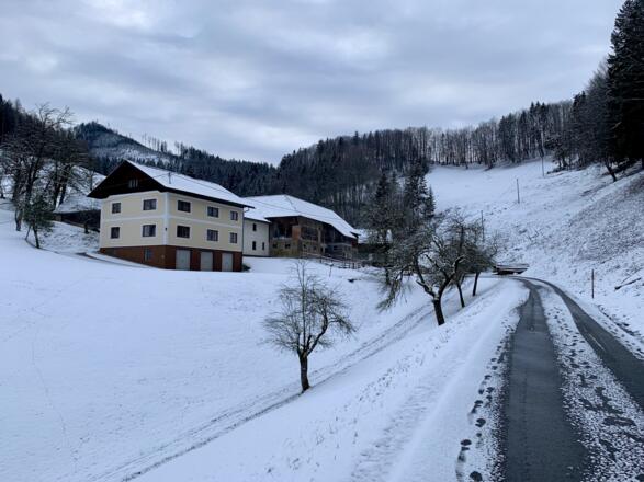 natur.BANK.wege | Gaflenz | Bärenreithweg | 333403