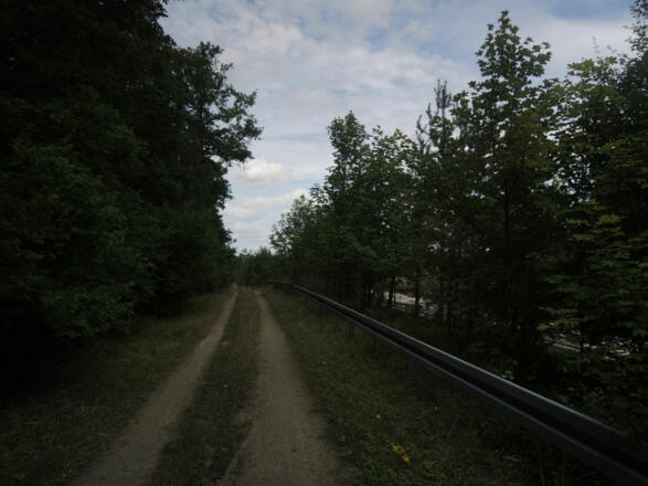 Der Weg führt uns nach Rottenbach.
