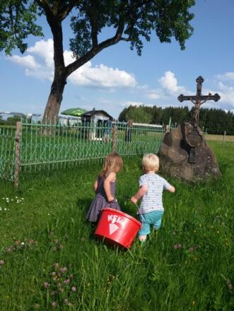 grasernte für die Hasen 3