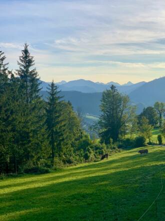 natur.BANK.wege | Gaflenz | Heiligenstein | 333401