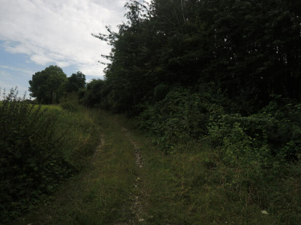 Auf dem Weg zur Alexandrinenhütte