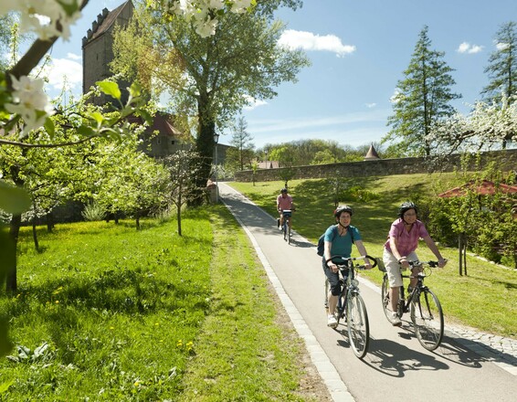 Dinkelsbühl, Foto: Andreas Hub
