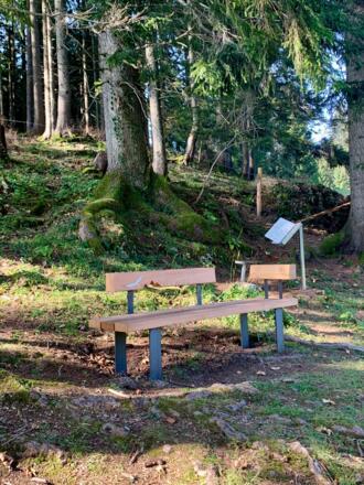natur.BANK.wege | Weyer | Bärenkogel | 333512