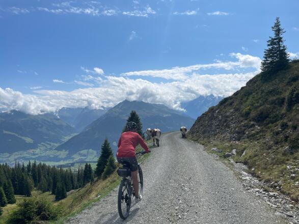 Traumhafte Bergkulisse - Blick in die Hohen Tauern