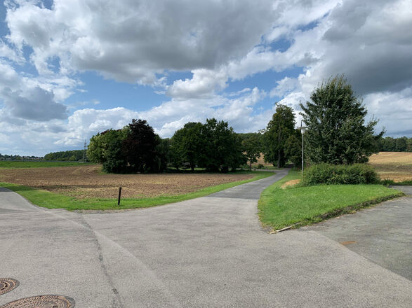 Am Ortsausgang von Neuses b. Coburg gehen wir rechts