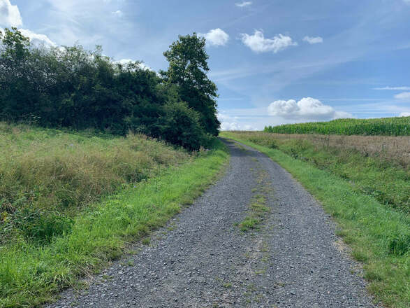 Wanderweg R2 an der Grenze zwischen Bayern und Thüringen nahe Weißenbrunn