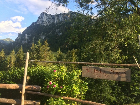 Blick auf die Gedererwand von der Weissenalm aus