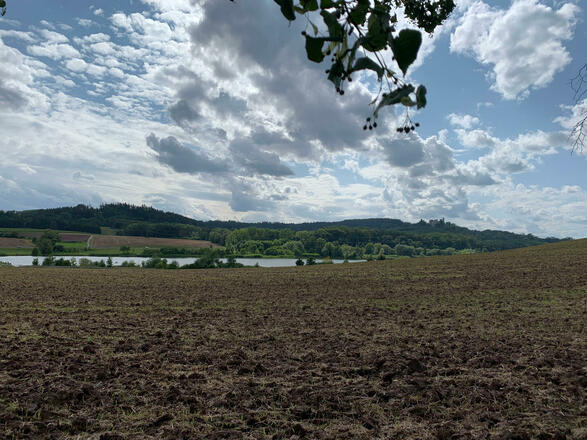 Ausblick auf den Goldbergsee