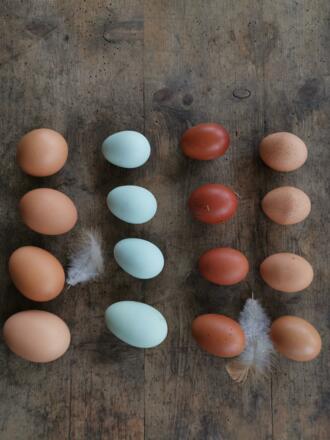 Hofladen Löffler Eier