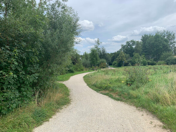 Fußweg zum Friedrich-Rückert-Park