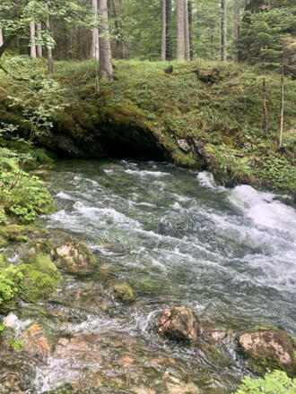 Oberer Waldbachursprung
