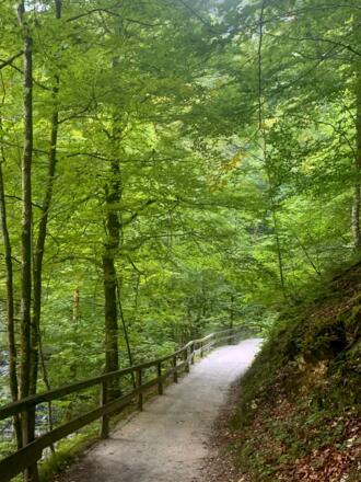 Koppentraun-Weg