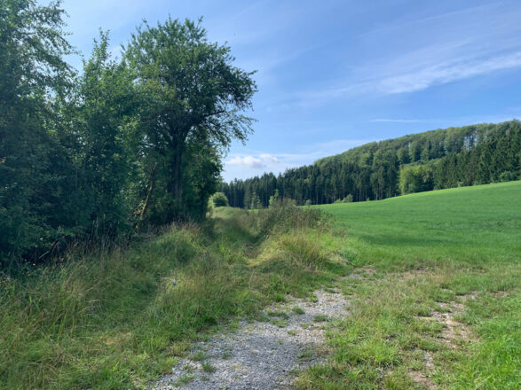 Feldweg nach Oberwohlsbach