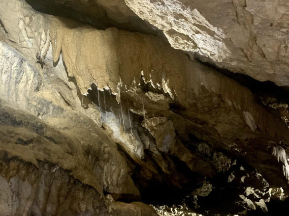Tropfsteine in der Koppenbrüllerhöhle