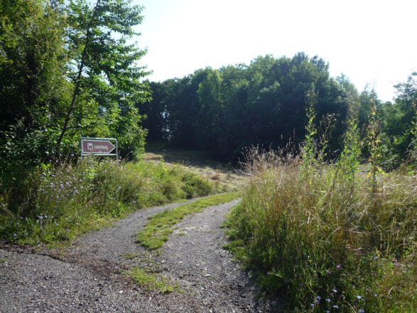 Wanderweg zur Lauterburg
