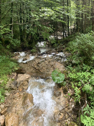Hallstatt Lauterbach