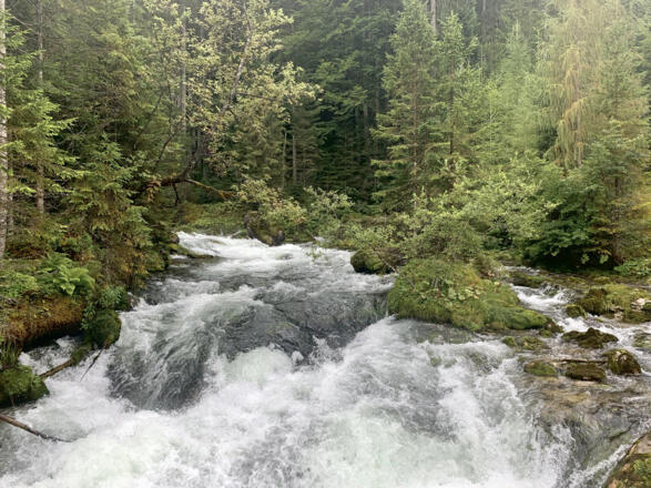 Der Waldbach oberhalb der ersten Brücke