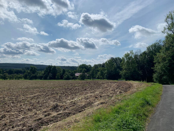 Feldweg kurz vor Gereuth