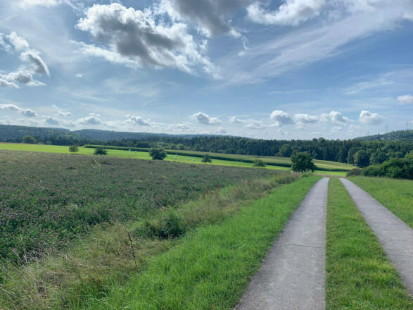 Auf dem Weg nach Weißenbrunn
