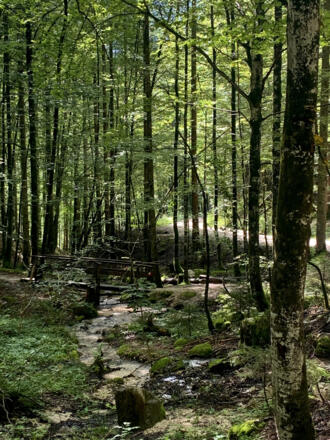 Abzweigung zum Gangsteig ins Echerntal
