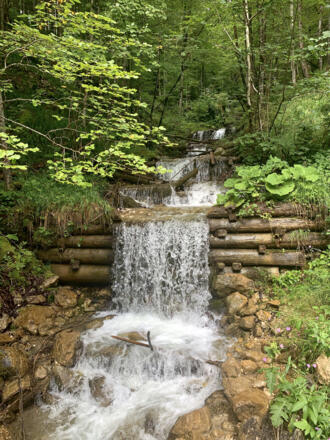 Hallstatt Lauterbach oberhalb der Waldbachstrub