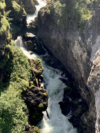 Der Waldbach oberhalb der Steinbrücke
