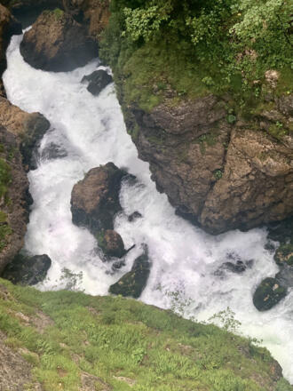 Waldbach in der Waldbachschlucht