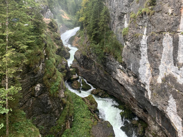 Die Waldbachschlucht von der Steinbrücke aus