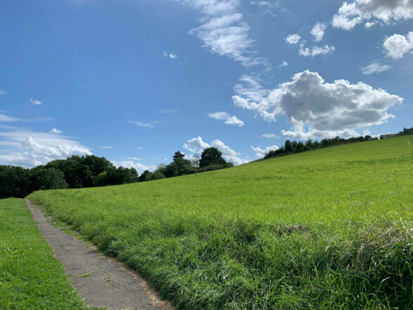 Feldweg aus Oberwohlsbach heraus
