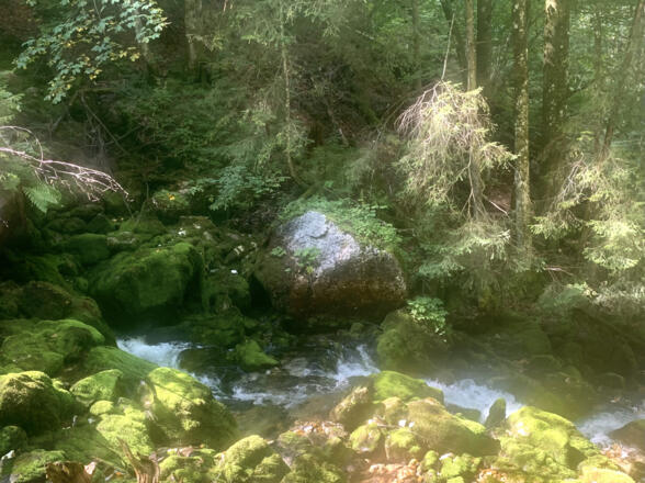 Bühlerbach Ursprung