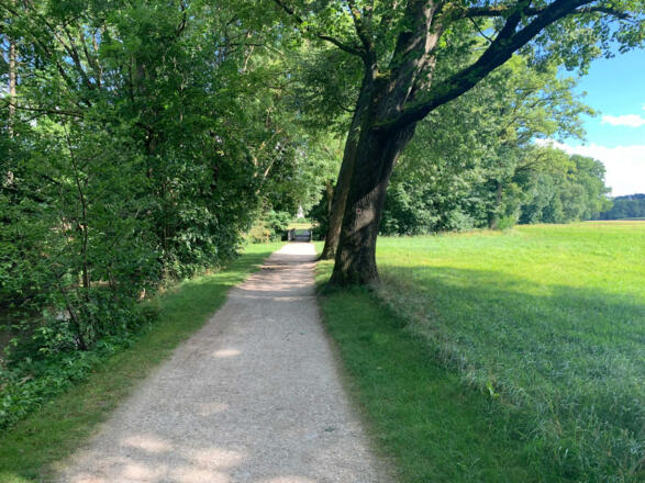 Wanderweg im Schlosspark Rosenau
