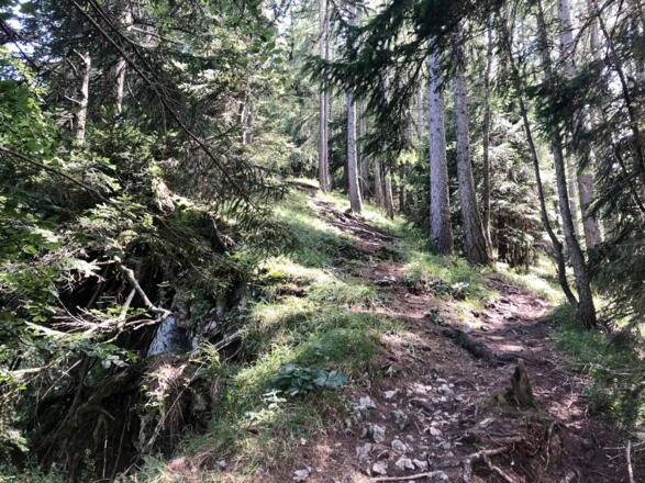 Arnoweg