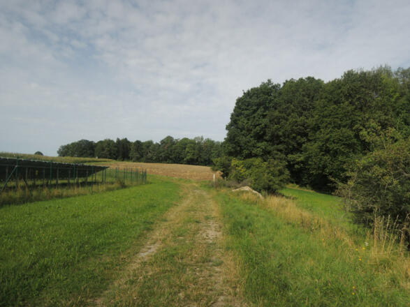 Am Solarpark vorbei geht es auf dem Feldweg zur Alexandrinenhütte.