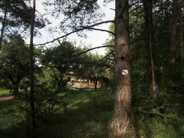 Waldkindergarten bei Oberlauter